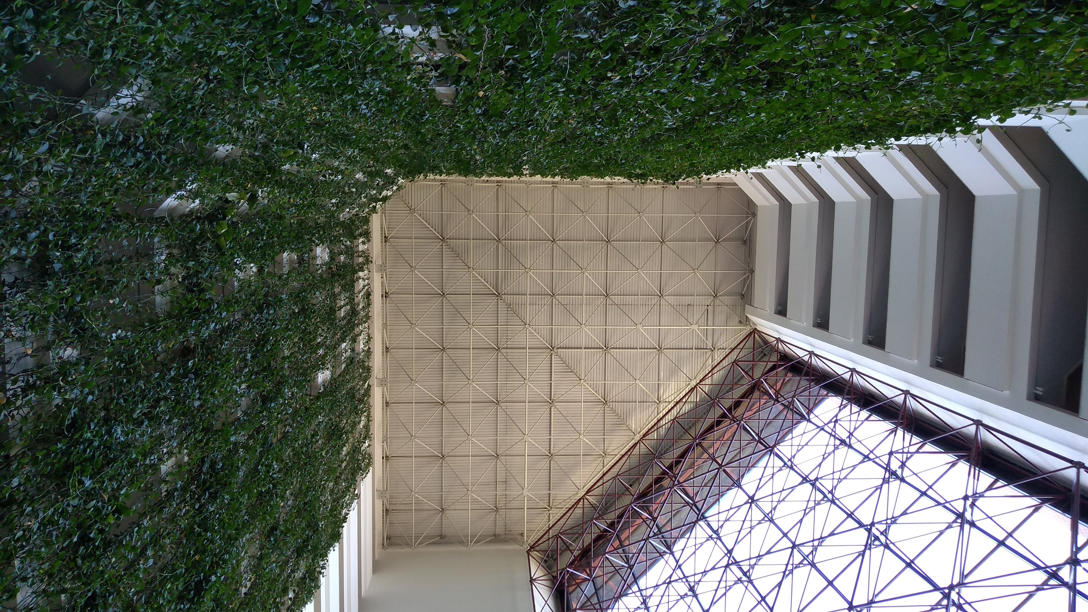 Fotografia Arquiteturica 1